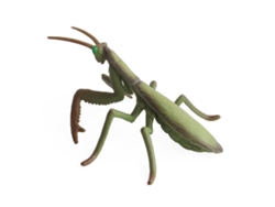 Juguete De Modelo De Insectos Y Animales De Plástico Para Niños Simulación Educativa (6)