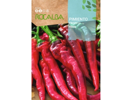 ROCALBA Pimenta Pedral 1G Pacote 5 Envelopes