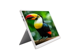 Monitor portátil para juegos gris FHD 1280p de 10,5 pulgadas con conexión USB-C HAILSI