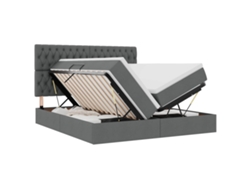 Maison Exclusive - Cama De Almacenamiento Led Con Colchón Gris Oscuro 200 X 200 Cm