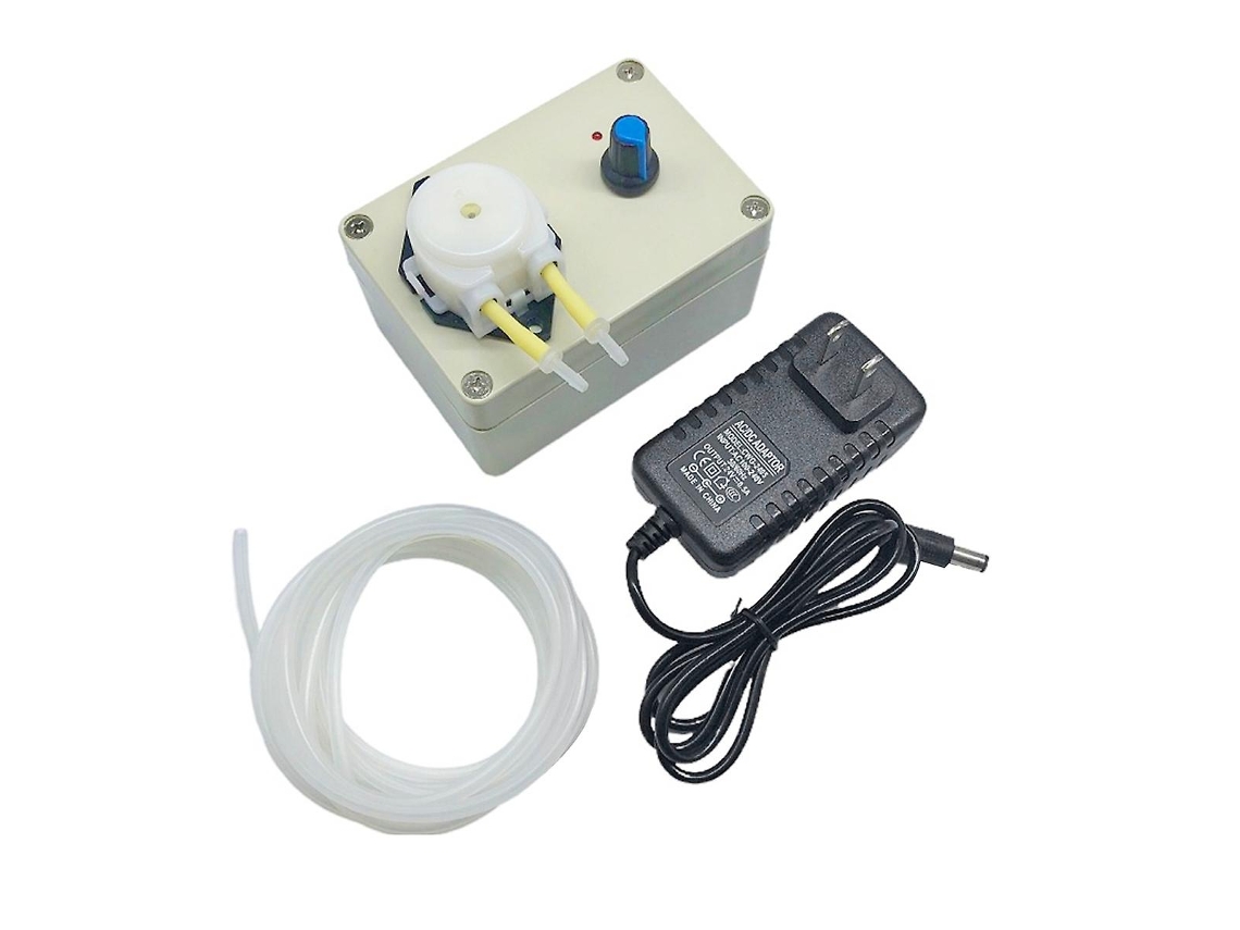 Bomba Peristáltica De Velocidad Ajustable 12v/24v Bomba De Titulación Dosificadora 4w 220v Plug Us Como Se Muestra