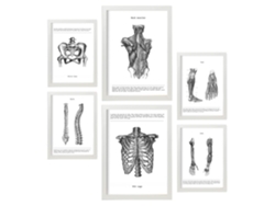 Set de 6 Poster NACNIC Anatomía (A3, A4)