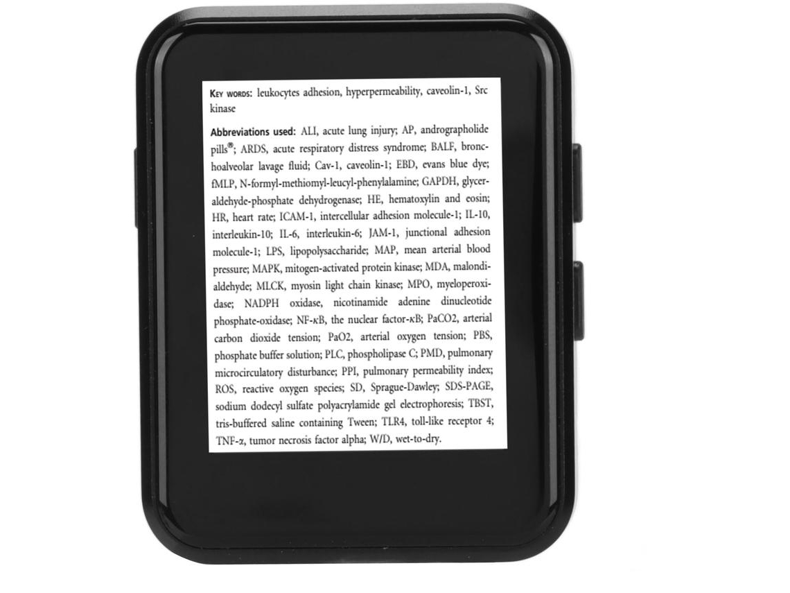 Reproductor MP3/MP4 Bluetooth YIZHOOD X1 1.8Inch E-Books 32G TF Card (Negro)