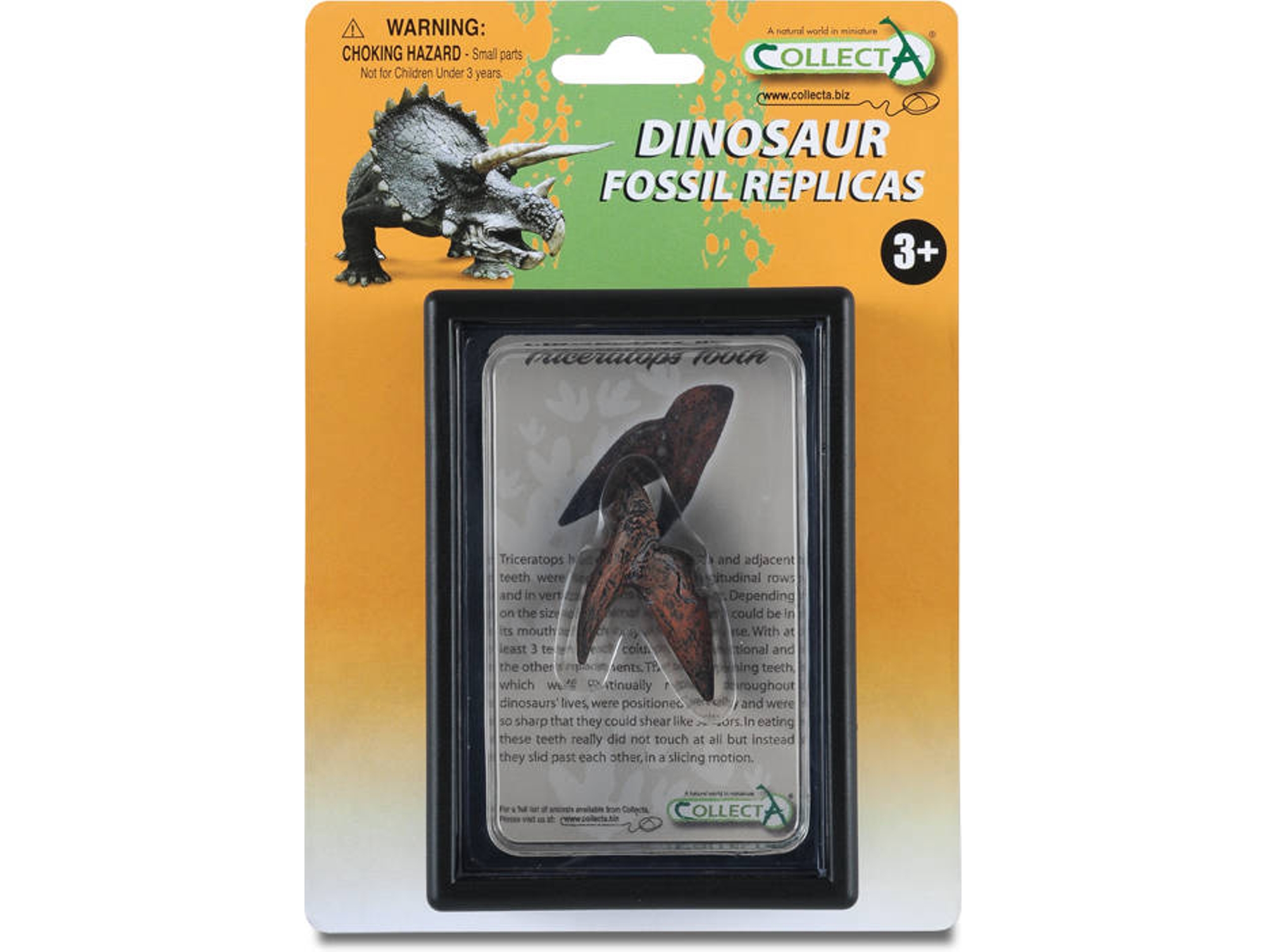 Figura COLLECTA Tooth Of Box Se Triceratops