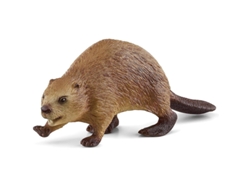 Figura Castor