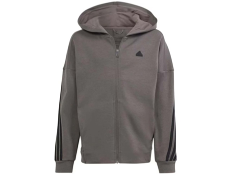 Sudadera de Niños ADIDAS Capucha Future Icons Gris (1112)