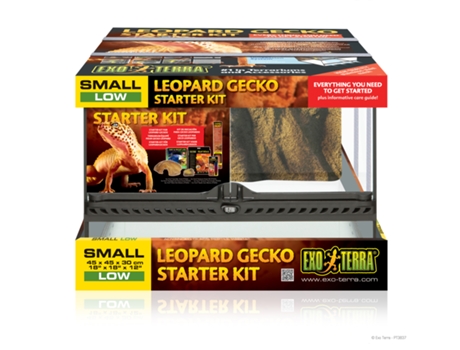 Kit inicio terrario para Gecko Leopardo EXO TERRA