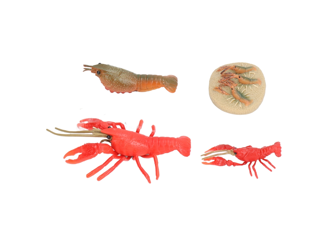Modelo Del Ciclo De Vida De La Langosta Con Figuras Vívidas Para La Educación Y Decoración De La Primera Infancia.