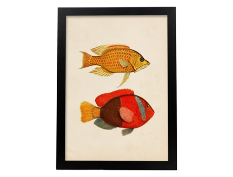 Póster NACNIC de Dos Peces Amarillo, Naranja y Rojo en , Fondo Papel Vintage.