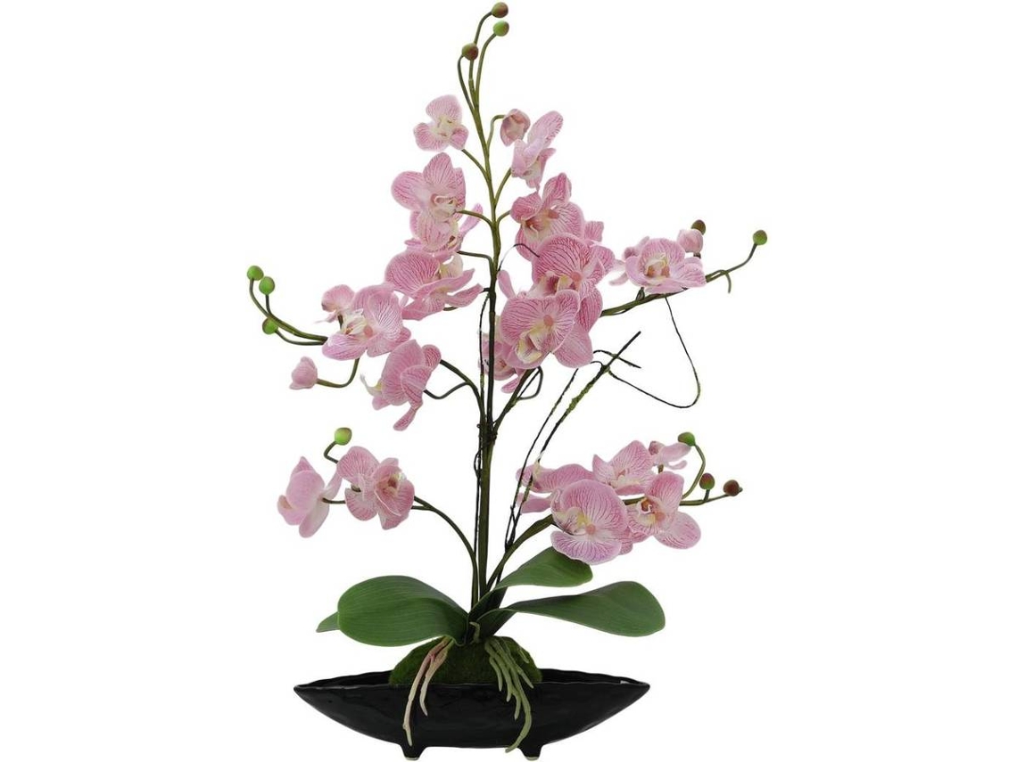 Planta Artificial EUROPALMS Orchid Arrangement (Verde - 30x60 cm)
