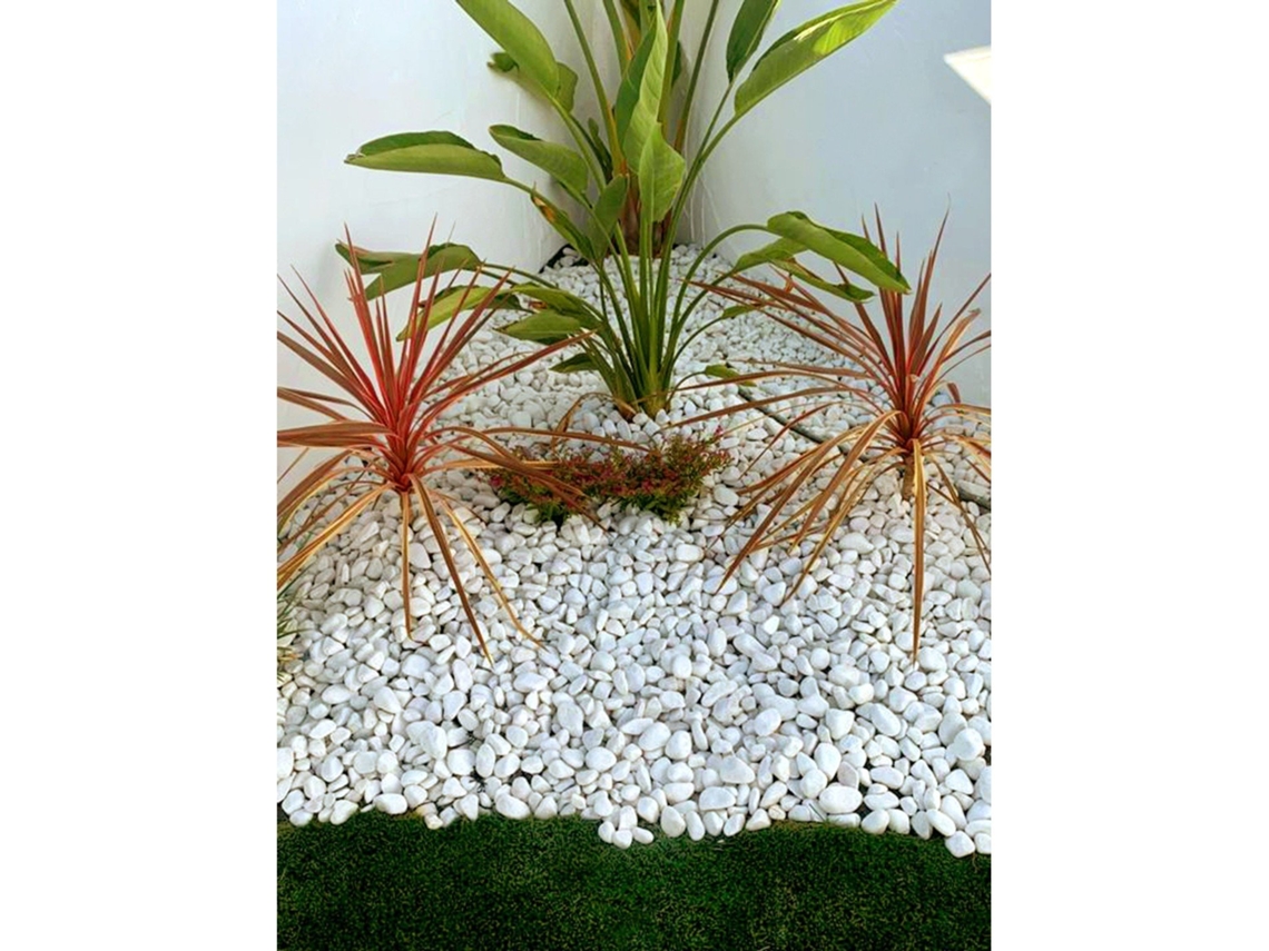 Jardin202 - Piedras De Canto Rodado Blanco 25kg – Decoración Jardín Exterior Y Macetas | Tamaños 20/25, 20/40 Y 40/60 Mm 20/25 | 20/25 ()