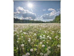 Estor Enrollable HAPPYSTOR Estampado Digital Paisajes HSCP5048 150x250 cm