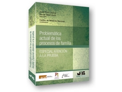 Libro Problemática Actual De Los Procesos De Familia. Especial Ate de De Miranda Vázquez Carlos (Español)