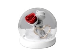 Regalo de San Valentín: flor eterna, osito de peluche, regalo creativo MEOIRUERY