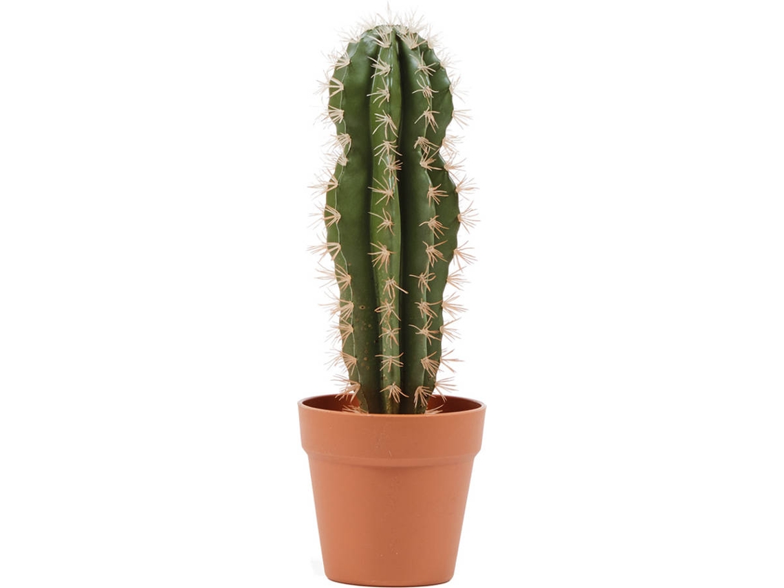 Planta Artificial CATRAL Cactus Stetsonia Coryne (43 cm)