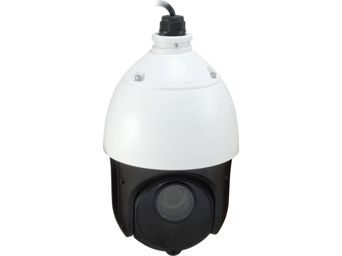 Cámara de vigilancia LEVELONE FCS-4051