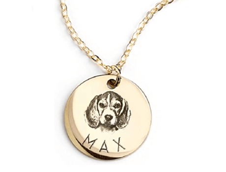 Collar De Placa De Identificación Para Gatos De Acero Inoxidable - Collar De Oro Láser Collar De Placa De Identificación Para Gatos De Acero Inoxid...
