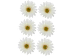 Horquillas Y Accesorios Para Disfraces De Niños Y Niñas Para Fiestas Y Eventos, Juego De 12, Diseño Floral.