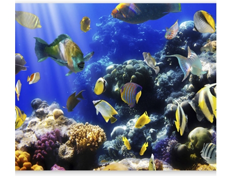 Papel de Pared ARTGEIST Underwater Adventure (245x175 cm)