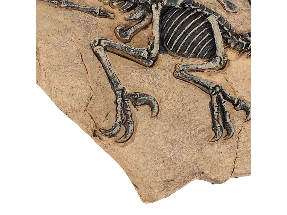 Figura De Esqueleto De Dinosaurio De Resina De Alta Resolución Para Estudio Y Decoración.