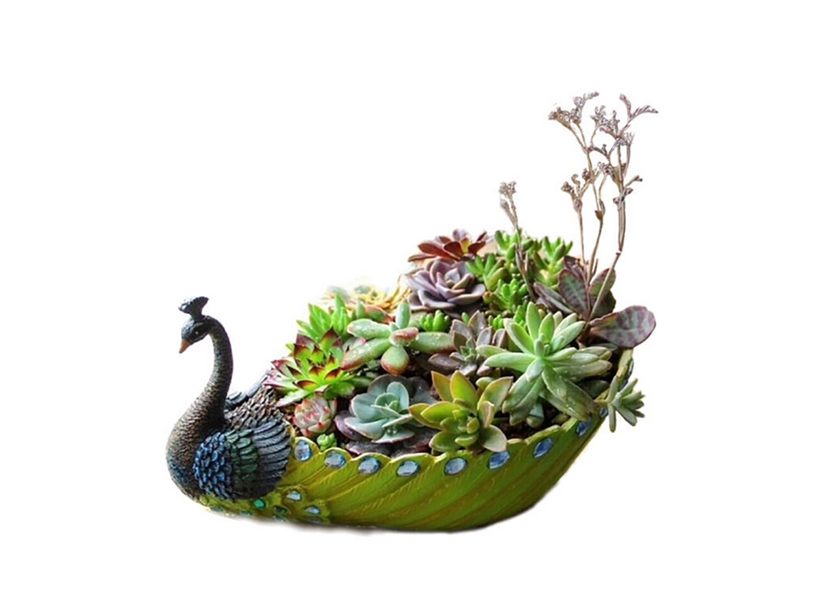 Maceta de Resina Hecha a Mano para Suculentas y Cactus con Pavo Real y Flor Decorativa Otro