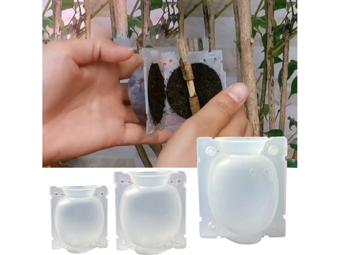 3 cajas de propagación de raíces para plantas