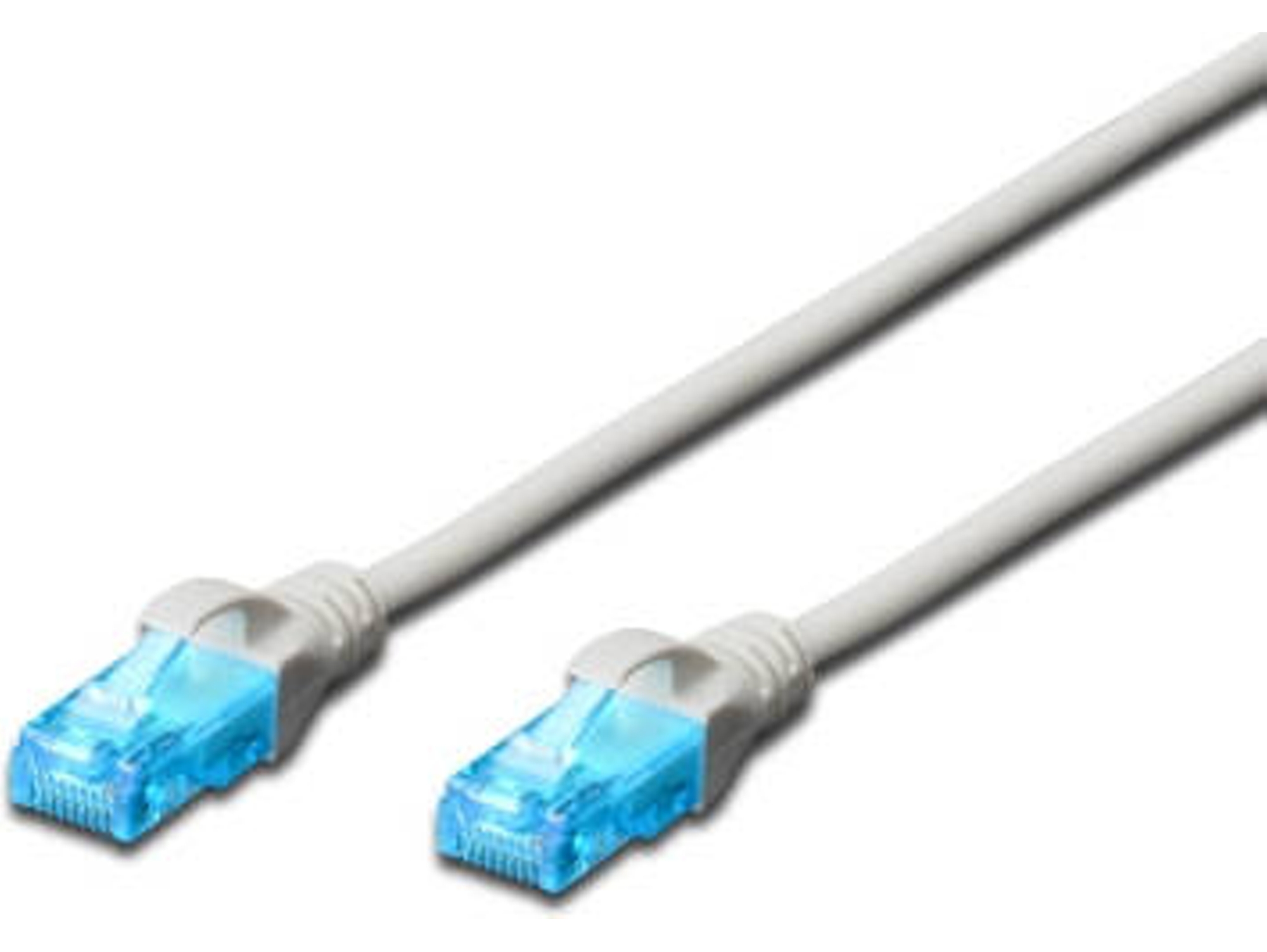 Cable de Red EWENT (RJ45)