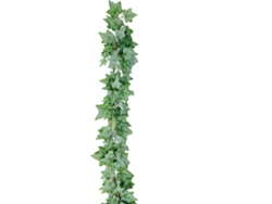 Guirnalda Artificial EUROPALMS Ivy tight (Verde - 180cm)