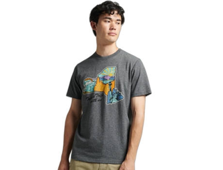 Camiseta para Hombre SUPERDRY (L - Algodón - Gris)
