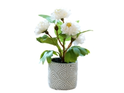 Bola de flor de crisantemo, decoración de bonsái pequeña en maceta de cemento para escritorio JEIIBRZUI