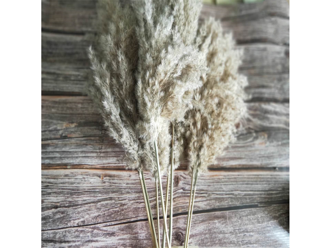 VYLARA Capim Dos Pampas Fofo Para Decoração De Casamento, Decoração Com Capim Dos Pampas Seco, Textura Natural Para Arranjos De Mesa Rústicos De Festa Em Est