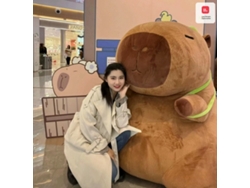 Pelúcia Capivara Rechonchuda Modelo Mochila Fofa e em Vários Tamanhos Pelúcia Tartaruga Rechonchuda Modelo Mochila Fofa e em Vários Tamanhos CHABERLU