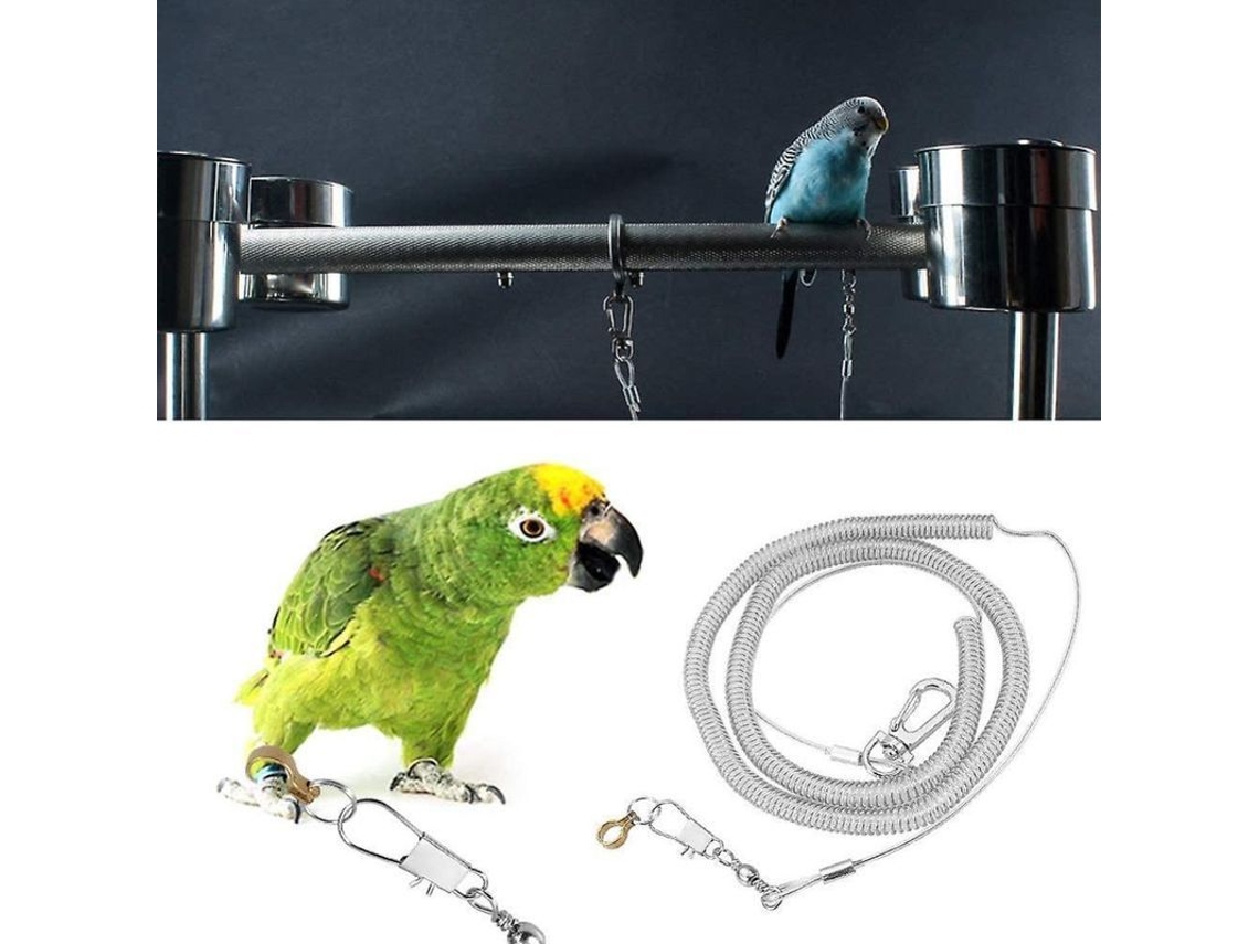 Arnés Para Pájaros Entrenamiento Vuelo 6m Correa Antimosca Portátil Resistente Materiales Premium 9 Tallas Anillo De Pie 6 Tobillera 5.5mm