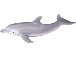 Figura COLLECTA Roaz
