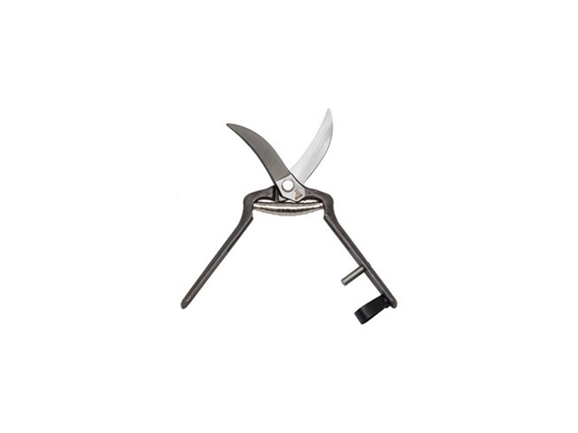 Tijeras De Ajo Curva 19cm 1026 19 La Pajarita