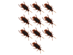 10 insectos falsos. ALLINLESS