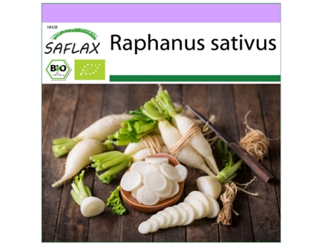 SAFLAX Ecológico Rábano Carámbano 100 semillas Raphanus sativus