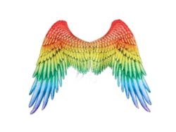 Festival Alas de Ángel Arcoíris para Gays