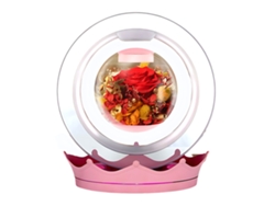 Lámpara magnética rosa con flor preservada y altavoz Bluetooth
