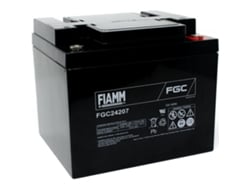 Batería FIAMM para FG24204 Vds