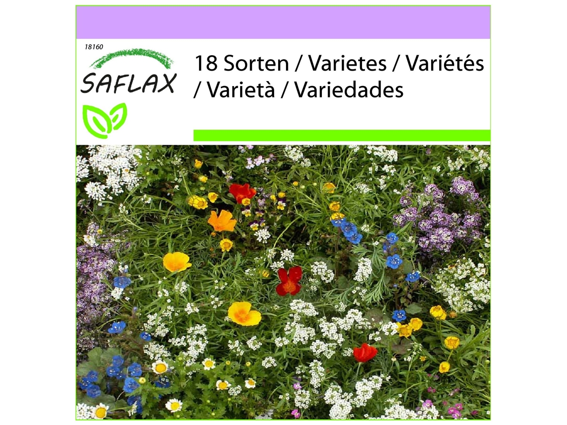 SAFLAX Enanos de jardín pequeños 1000 semillas Mix
