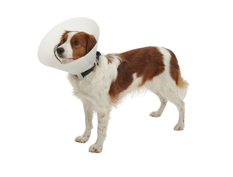 KRUUSE Buster Coleira Elisabetana Clássica Opaca 25 Cm Cães 25 a 30 Kg 10 Unidades