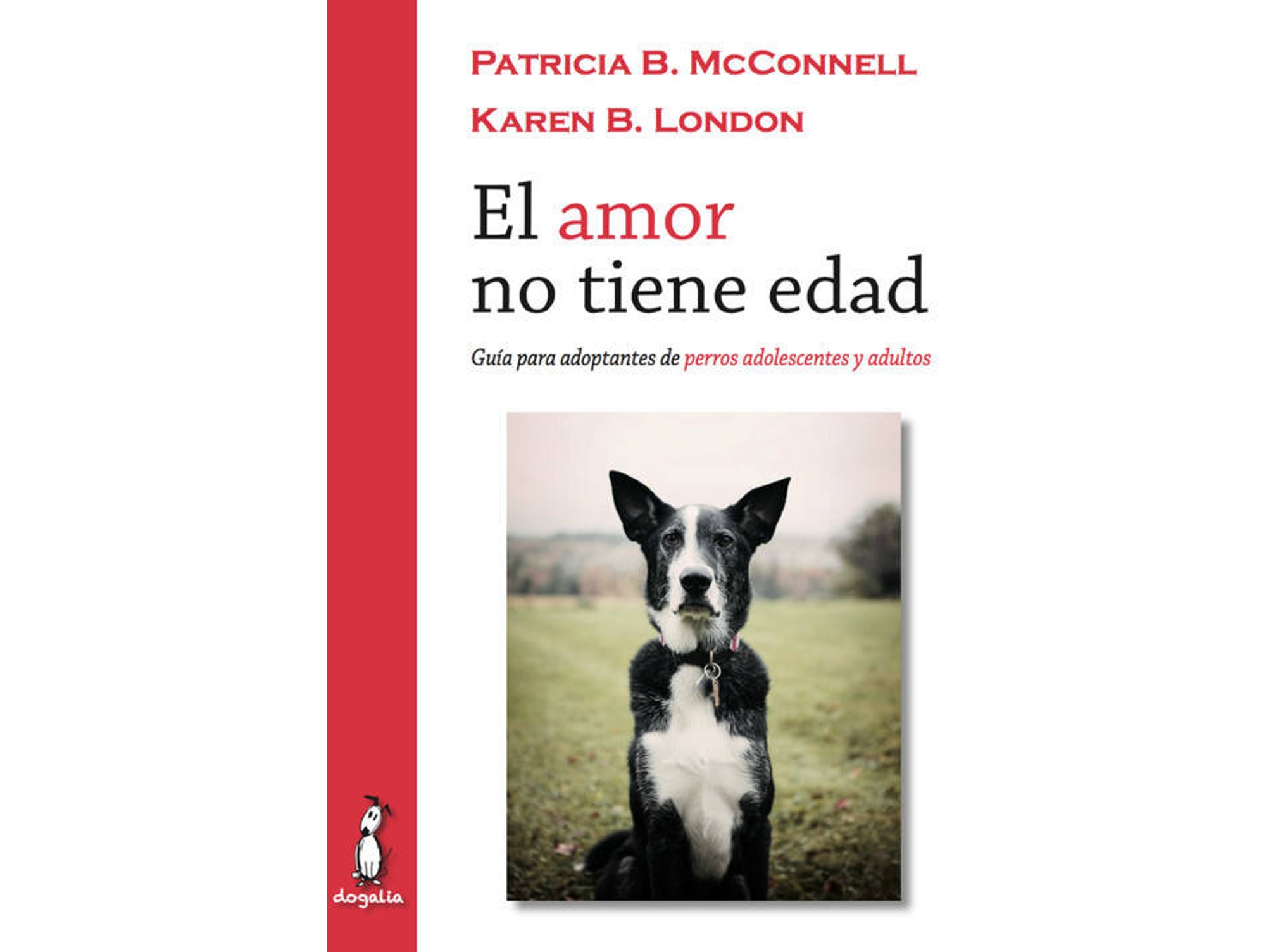 Libro El Amor No Tiene Edad (Español)