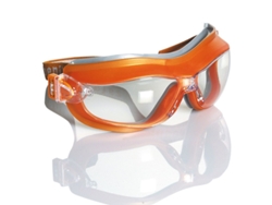 Phoenix Gafa Protección Ojos Integral Ocular Claro Antivaho 1B 3 4. Ref. 10490 SAFETOP