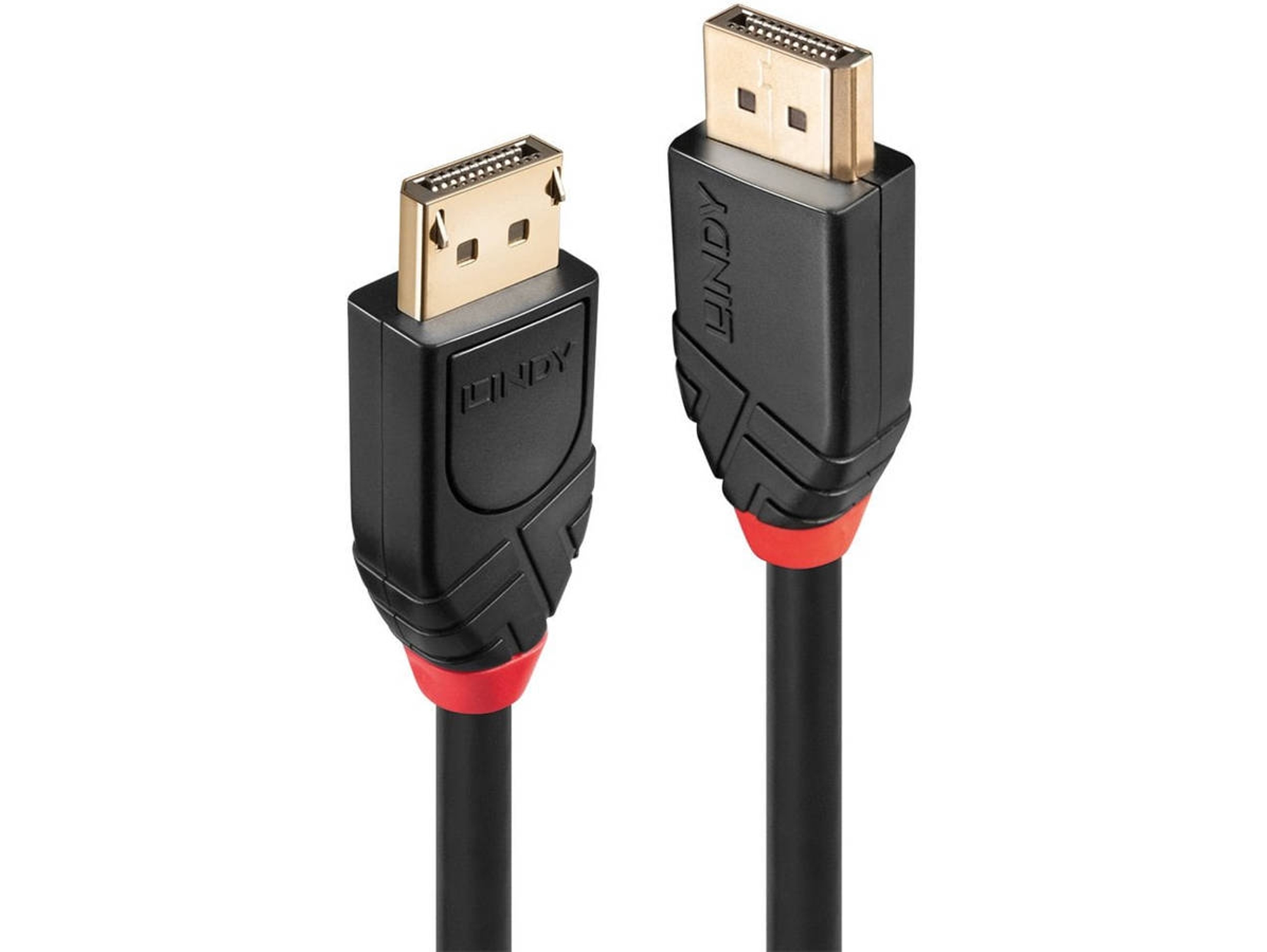 Cable LINDY (DisplayPort - 10 m - Negro)