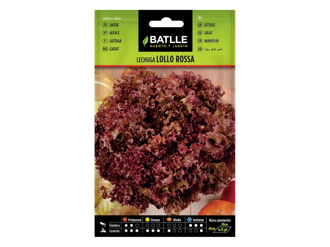 Semillas de lechuga lollo rosa BATLLE