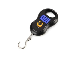 Báscula electrónica de 50Kg Báscula de cocina digital Lcd 10G WT-33