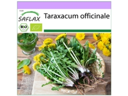 SAFLAX Ecológico Diente de león 400 semillas Taraxacum officinale