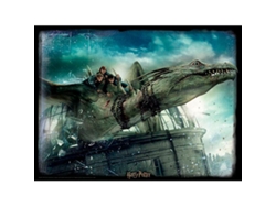 Puzzle 2D PRIME 3D Drake puzzle harry potter lenticular