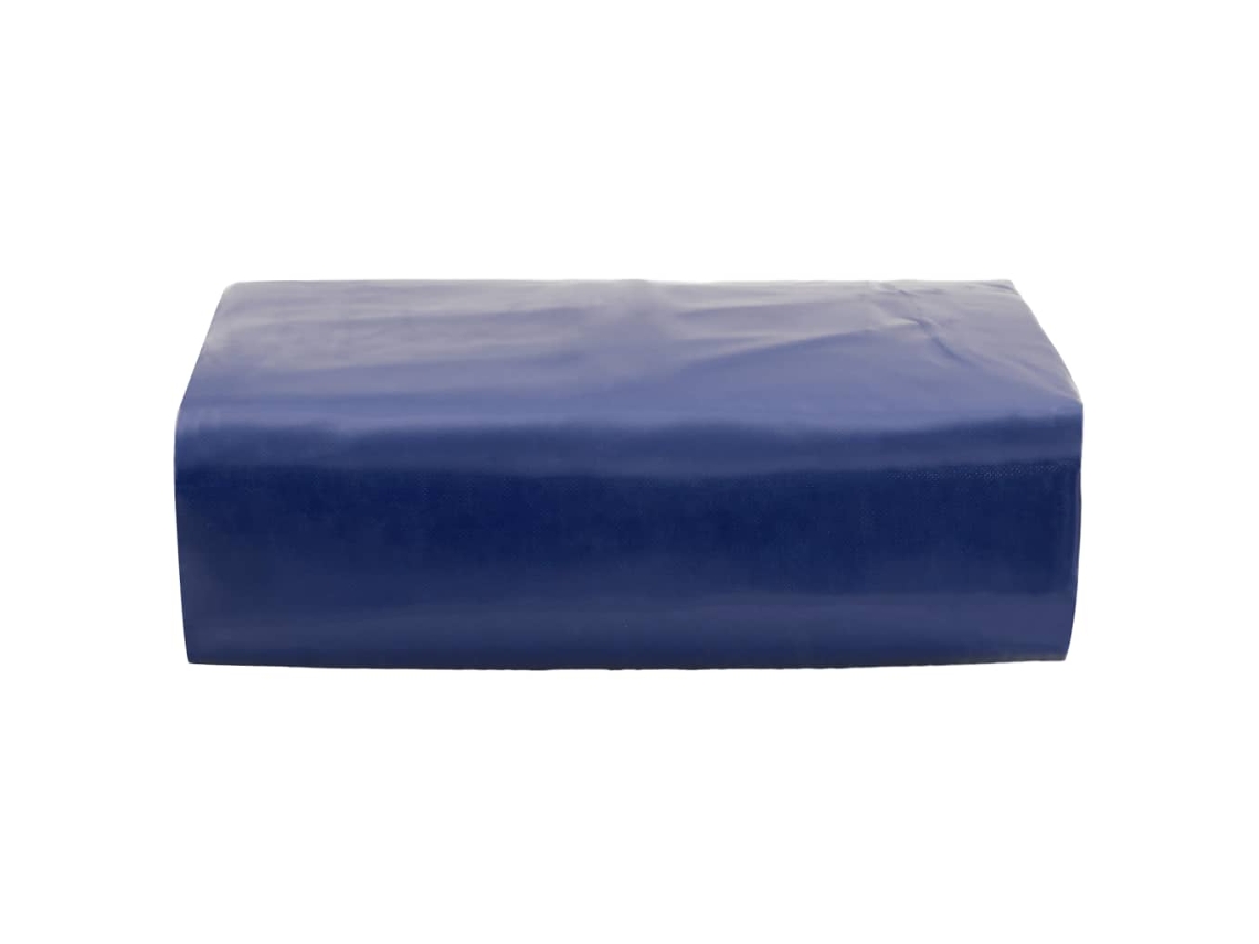 Maison Exclusive - Lona Azul 4x6 M 650 G/m²